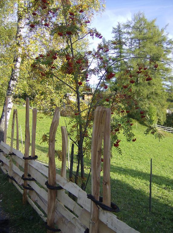 Haus Lukas Bed & Breakfast Seefeld in Tirol Dış mekan fotoğraf